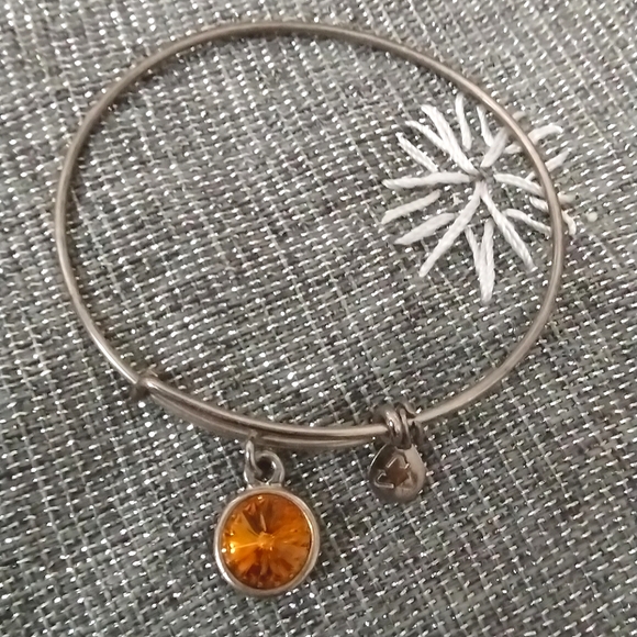 Alex and Ani Crystal November Birthstone Bracelet - Picture 7 of 16